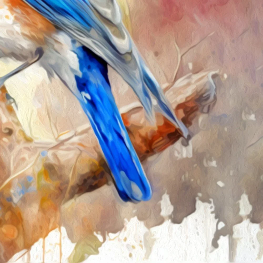 Eastern Bluebird Watercolor Oil Painting Wall Art Print - Picture 6 of 8